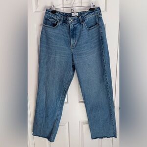 Abercrombie and Fitch Vintage Straight High Rise Curve Love Jeans- Long